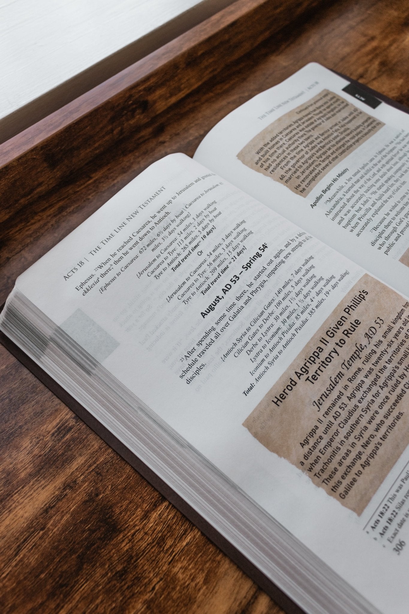 The Time Line New Testament Bible (2023) (Leather Look with Gold Foil Imprint and Gold Foil Pages) (Words of Christ in Red) (Full Color Interior and Maps) (Imitation Leather – January 17, 2023) - Faith & Flame - Books and Gifts - Destiny Image - 9780768463996