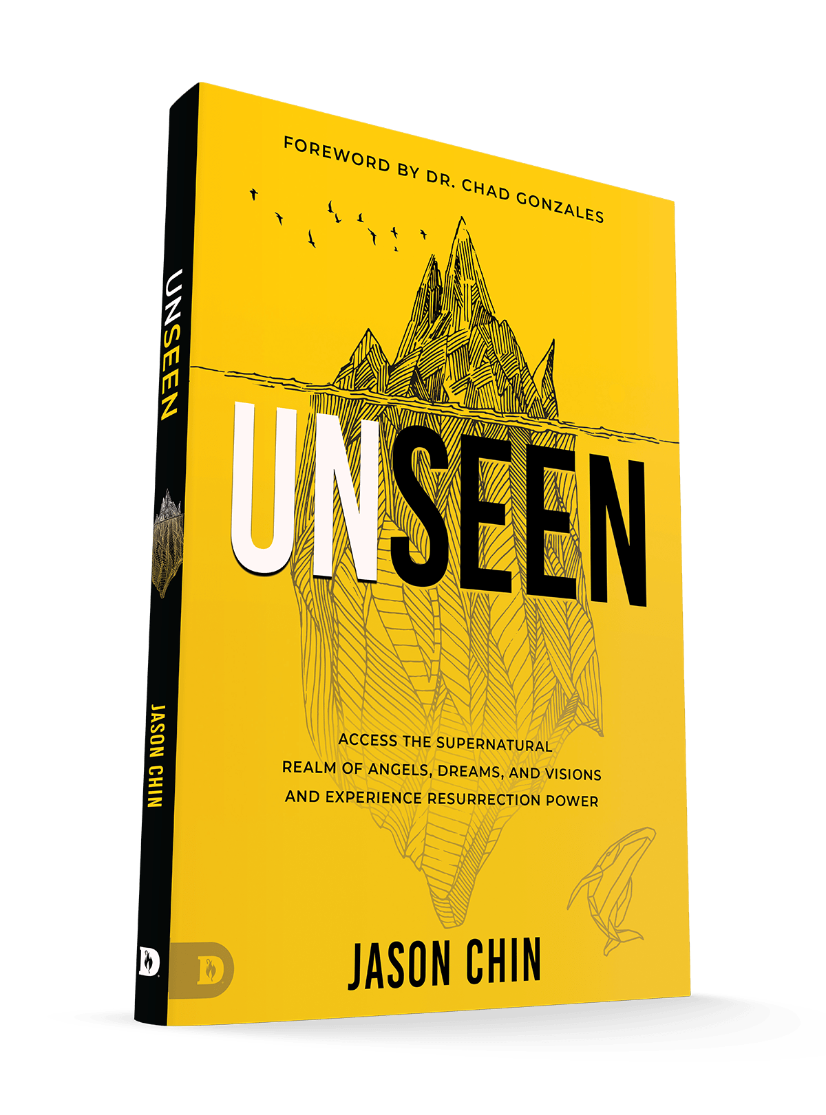 Unseen: Access the Supernatural Realm of Angels, Dreams and Visions and Experience Resurrection Power Paperback – September 2, 2025 - Faith & Flame - Books and Gifts - Destiny Image - 9798881505233