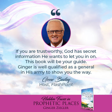 Hidden Faces in Prophetic Places: Unveiling Supernatural Mysteries Through Prayer Paperback – September 3, 2024 - Faith & Flame - Books and Gifts - Harrison House - 9781667506111