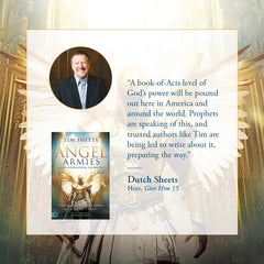 Angel Armies: God's Supernatural Enforcers: The Angel Gate is Open: Signs, Wonders, and Miracles Paperback – May 6, 2025 - Faith & Flame - Books and Gifts - Destiny Image - 9780768477405