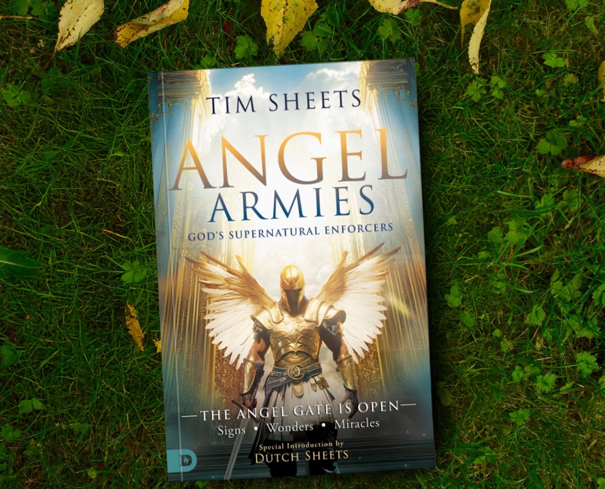 Angel Armies: God's Supernatural Enforcers: The Angel Gate is Open: Signs, Wonders, and Miracles Paperback – May 6, 2025 - Faith & Flame - Books and Gifts - Destiny Image - 9780768477405