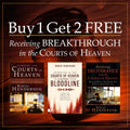 BUY 1 GET 2 FREE Receiving Breakthrough in the Courts of Heaven - Faith & Flame - Books and Gifts - Faith & Flame - Books and Gifts - RBCH25