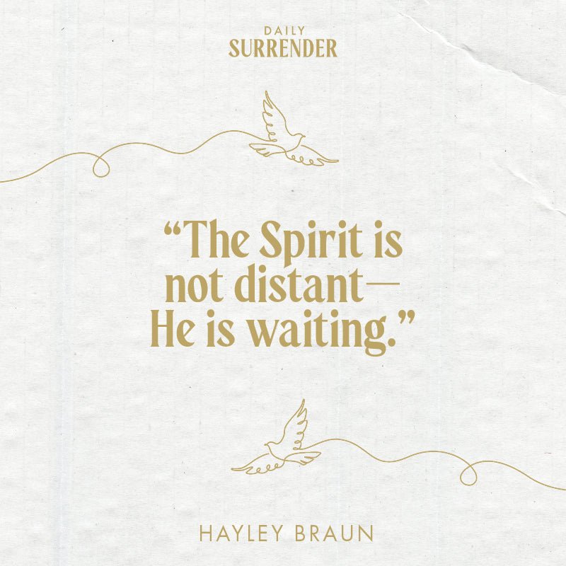 Daily Surrender: 60 Invitations to Encounter the Person, Presence and Power of the Holy Spirit Paperback – September 2, 2025 - Faith & Flame - Books and Gifts - Destiny Image - 9798881503482