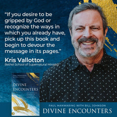 Divine Encounters: Your Invitation to Experience the Life - Changing Presence of God Paperback – November 5, 2024 - Faith & Flame - Books and Gifts - Destiny Image - 9780768478327