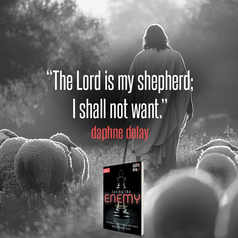 Facing the Enemy 10th Anniversary Expanded Edition: Strategies for Living Victoriously Behind Enemy Lines Paperback – July 2026 - Faith & Flame - Books and Gifts - Harrison House - 9781667514956