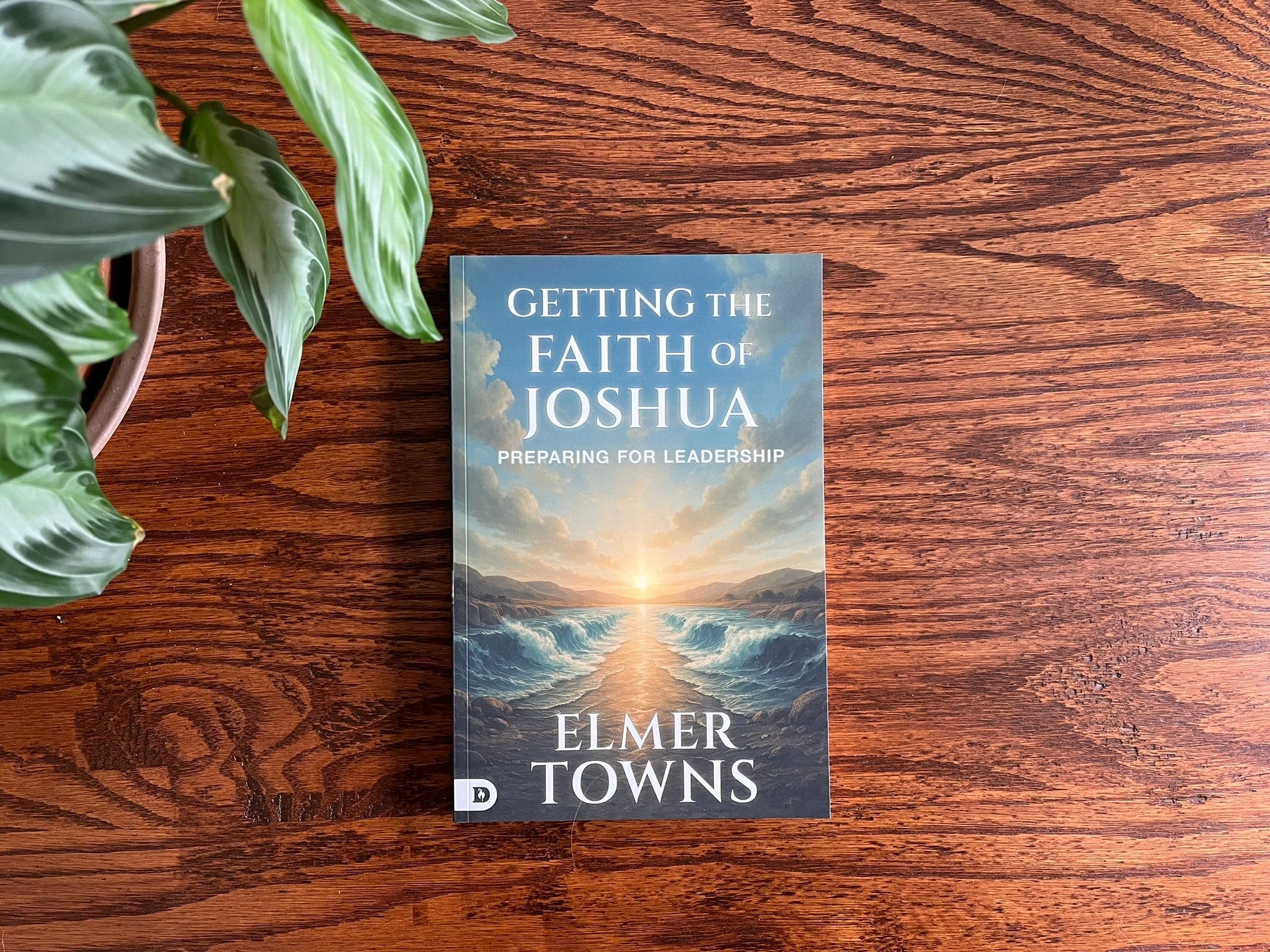 Getting the Faith of Joshua: Preparing for Leadership Paperback - May 6, 2026 - Faith & Flame - Books and Gifts - Destiny Image - 9798881506698