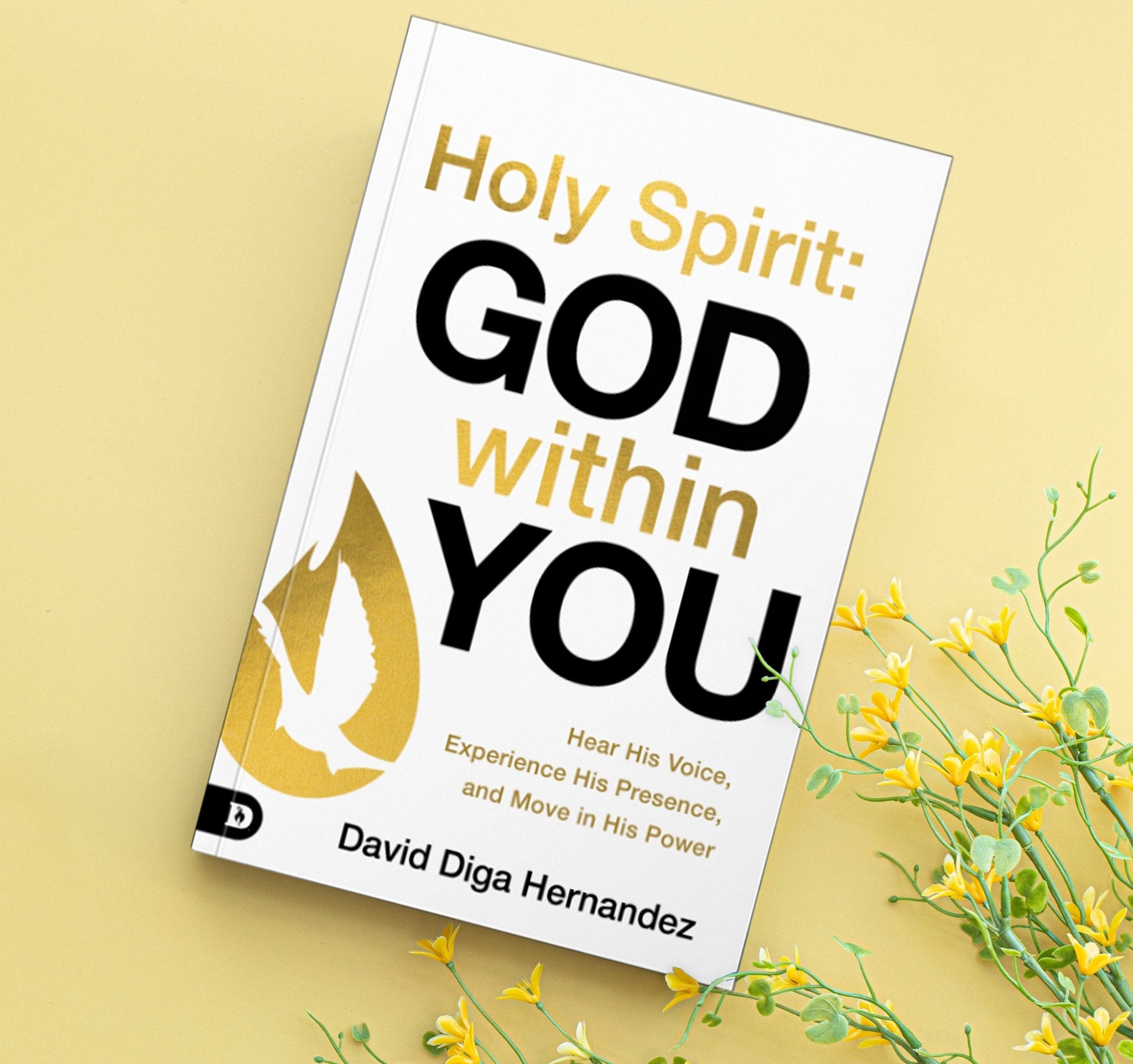 Holy Spirit: God Within You: Hear His Voice, Experience His Presence, and Move in His Power Paperback – June 3, 2025 - Faith & Flame - Books and Gifts - Destiny Image - 9780768483390