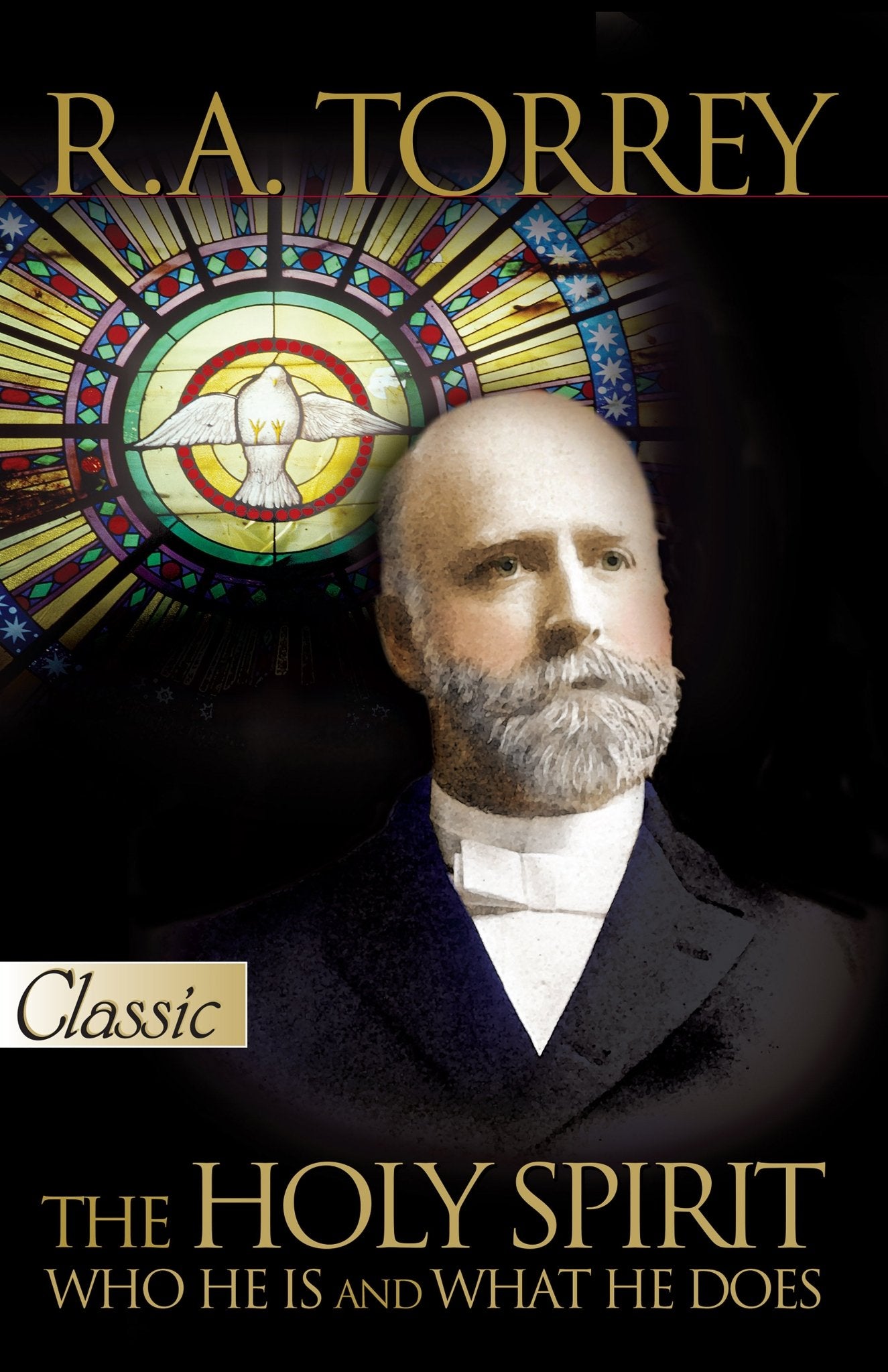 Holy Spirit: Who He Is And What He Does - August 2008 - Faith & Flame - Books and Gifts - Bridge Logos - 9780882704739