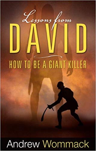 Lessons from David - Faith & Flame - Books and Gifts - Harrison House - 9781606839713