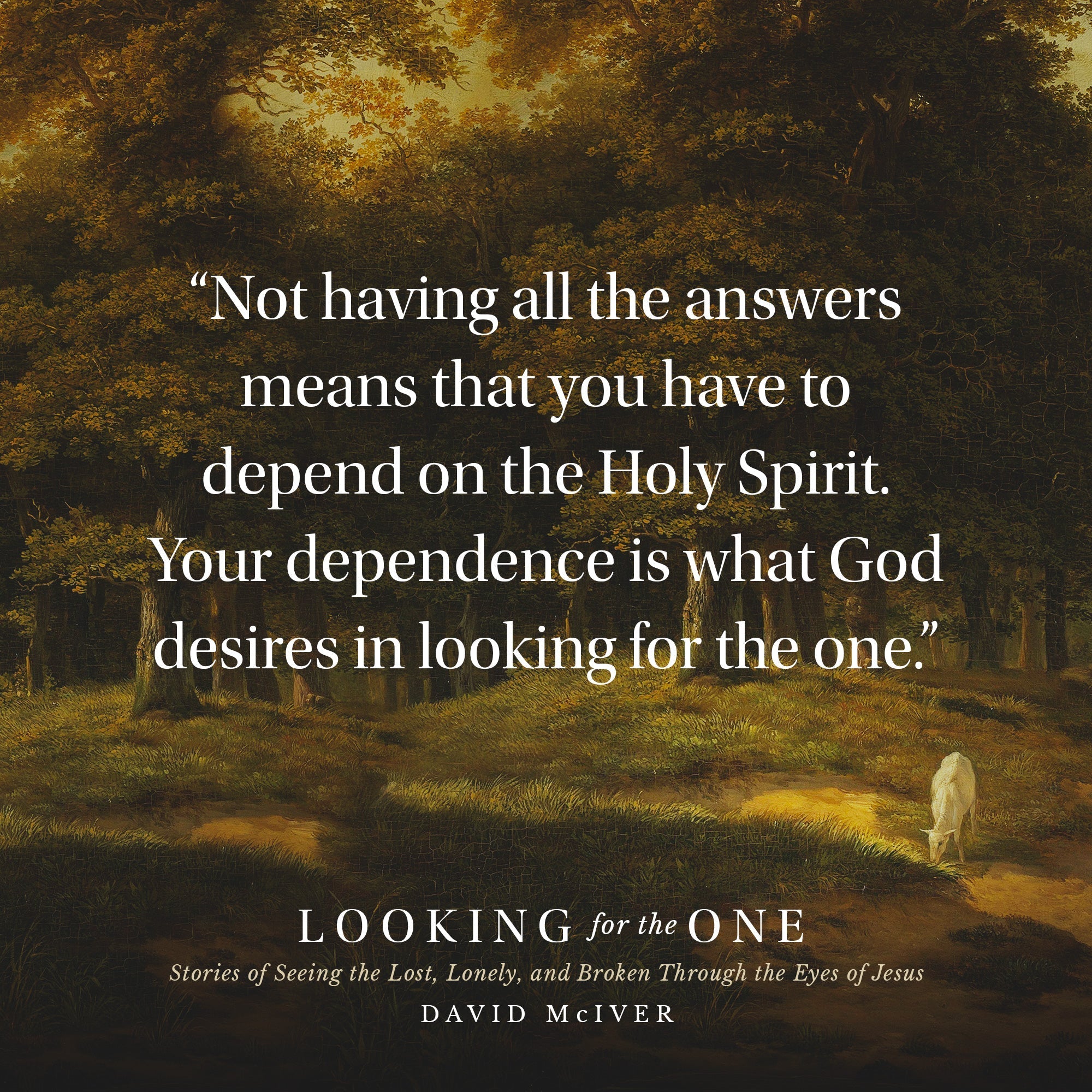 Looking for the One: Stories of Seeing the Lost, Lonely, and Broken Through the Eyes of Jesus Hardcover – May 23, 2023 - Faith & Flame - Books and Gifts - Sea Harp Press - 9780768475616