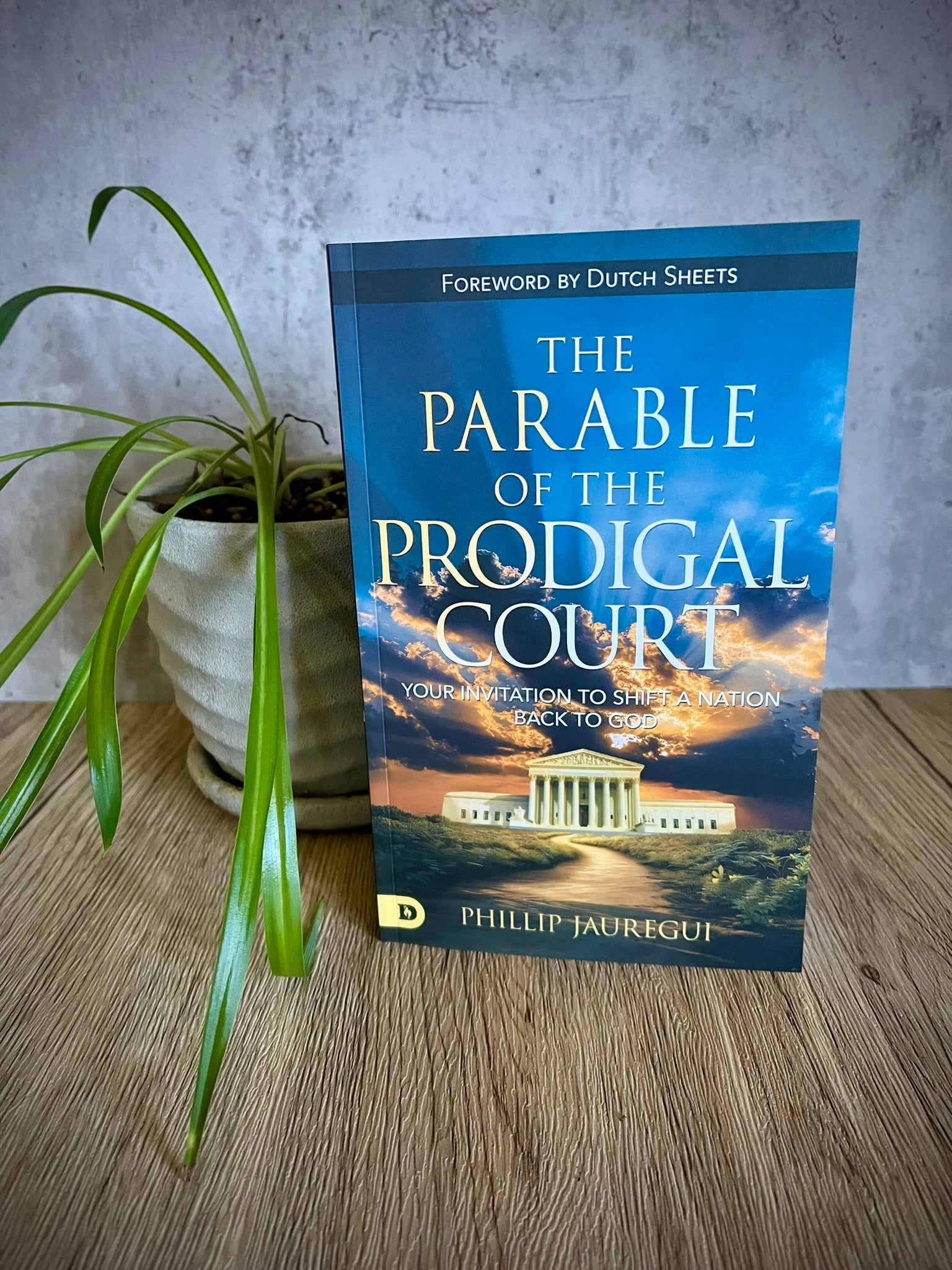 Parable of the Prodigal Court: Your Invitation to Shift a Nation Back to God – March 3, 2026 - Faith & Flame - Books and Gifts - Destiny Image - 