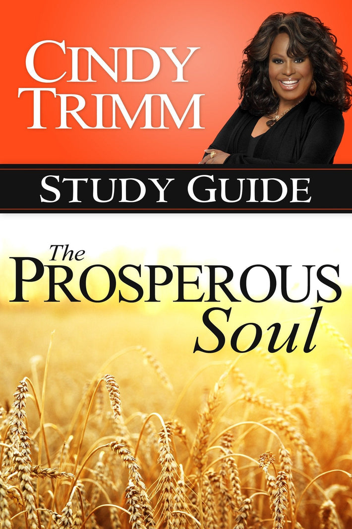 Prosperous Soul Study Guide - Faith & Flame - Books and Gifts - Destiny Image - 9780768405217