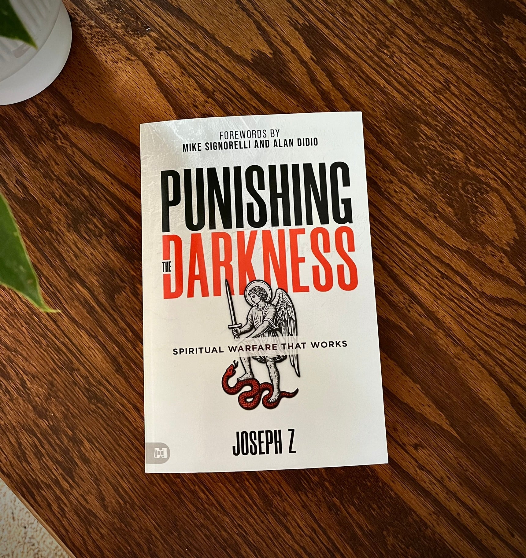 Punishing the Darkness: Spiritual Warfare That Works – February 3, 2026 - Faith & Flame - Books and Gifts - Harrison House - 9781667511979
