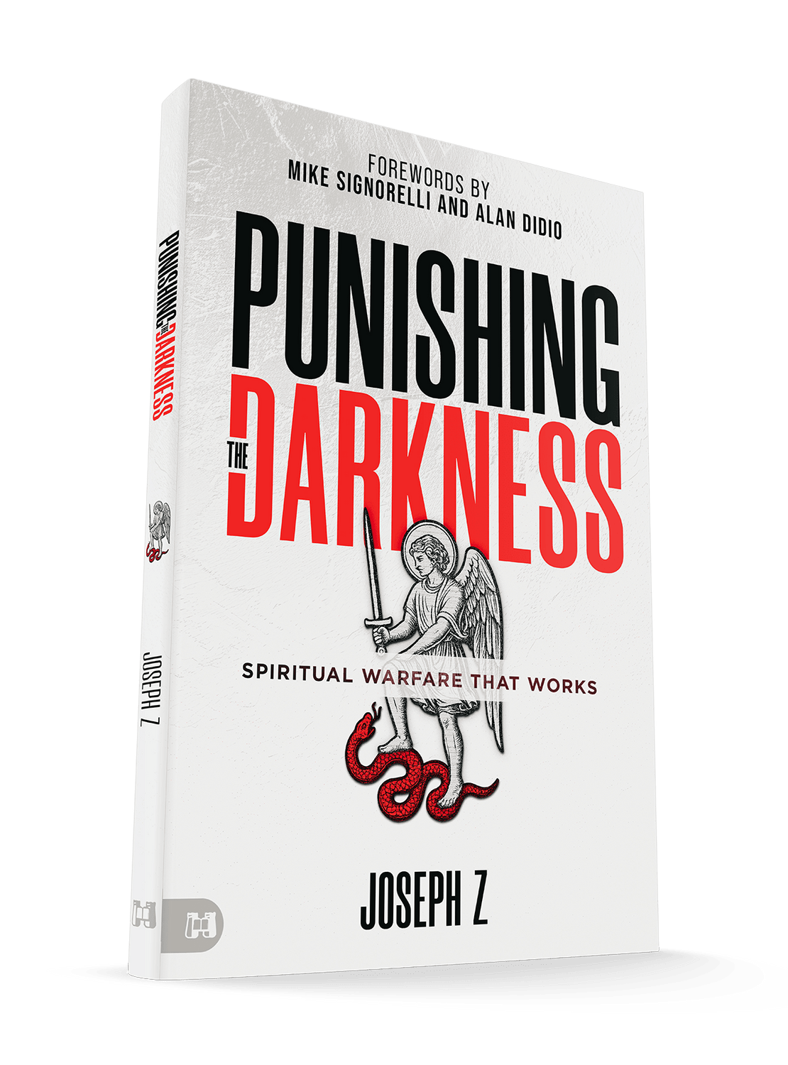 Punishing the Darkness: Spiritual Warfare That Works Paperback