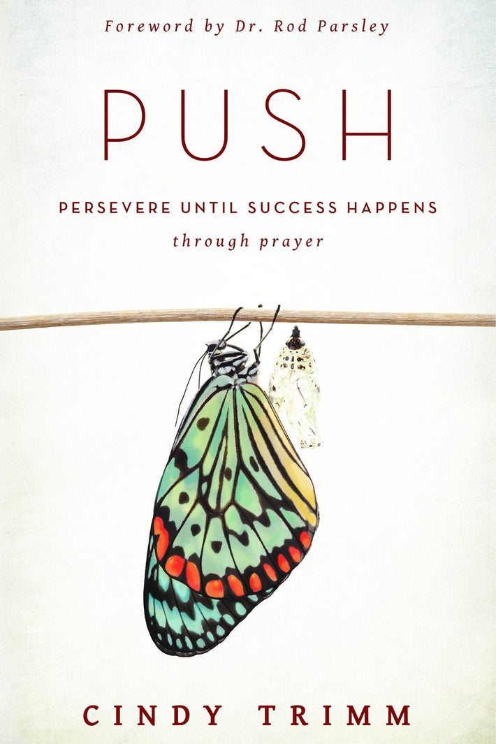 PUSH - Faith & Flame - Books and Gifts - Destiny Image - 9780768404296