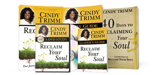 Reclaim Your Soul Small Group Study Kit - Faith & Flame - Books and Gifts - Destiny Image - RYSSGS