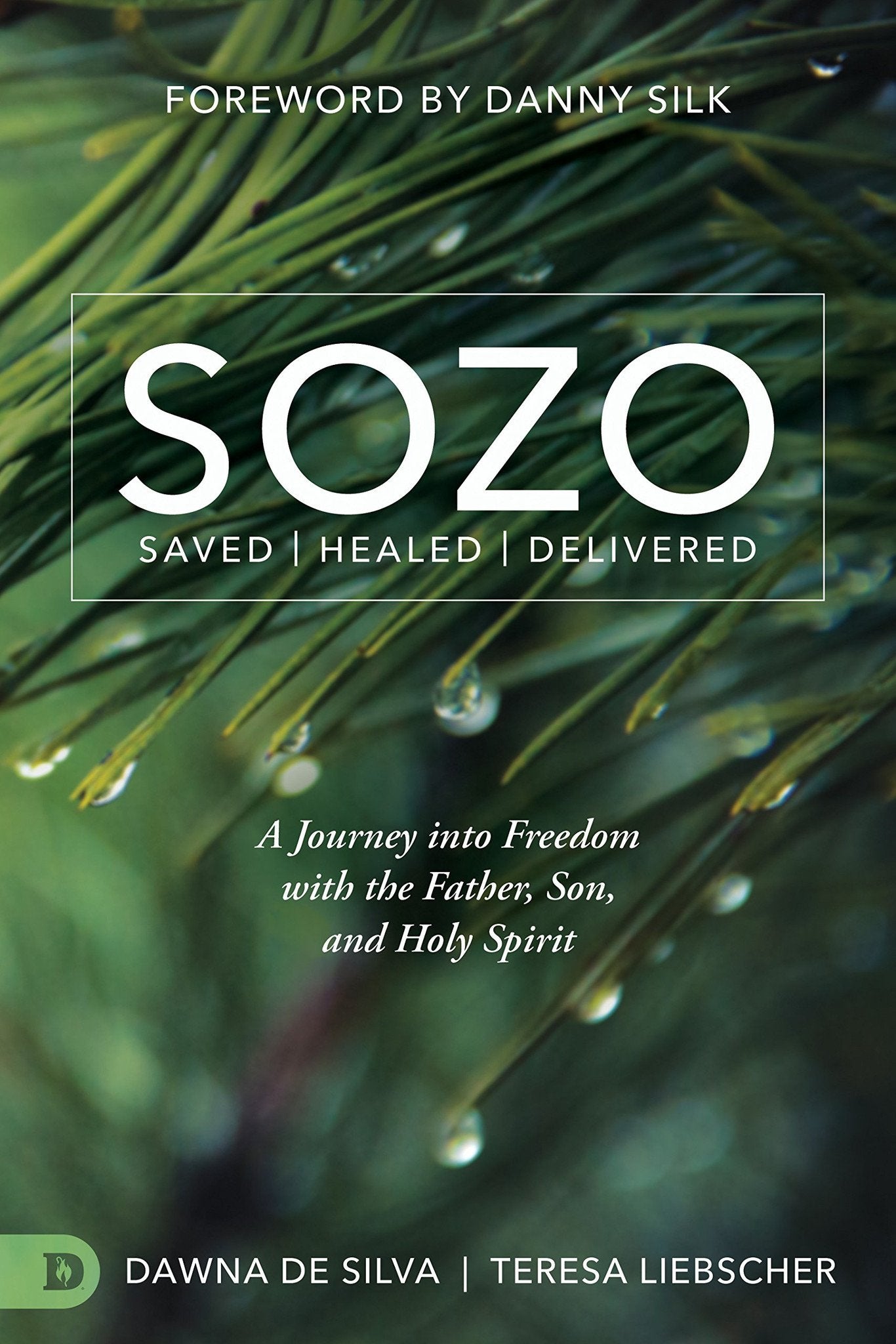SOZO Saved Healed Delivered - Faith & Flame - Books and Gifts - Destiny Image - 9780768409154