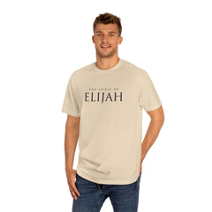 Spirit of Elijah T-shirt - Faith & Flame - Books and Gifts - Printify - 