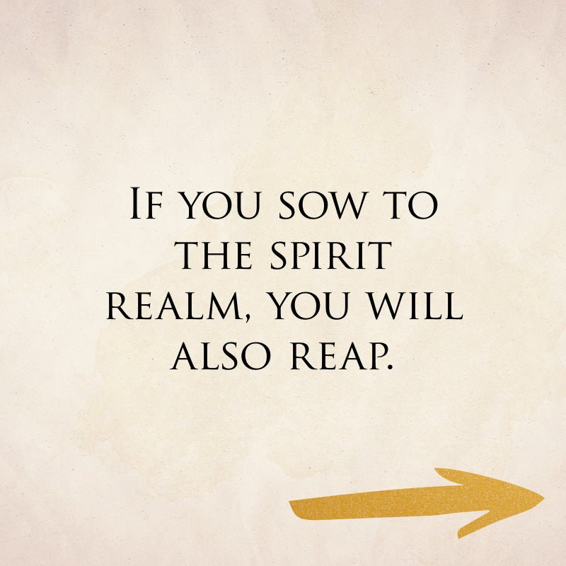 The Seer's Devotional - November 1, 2026 - Faith & Flame - Books and Gifts - Destiny Image - 9798881506513