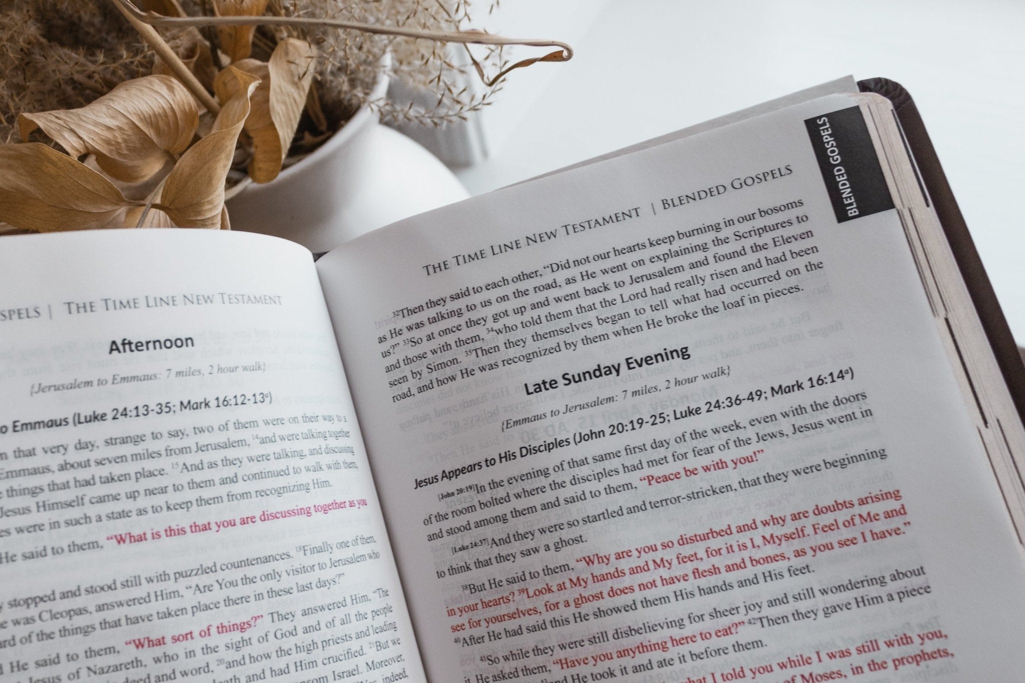 The Time Line New Testament Bible (2023) (Leather Look with Gold Foil Imprint and Gold Foil Pages) (Words of Christ in Red) (Full Color Interior and Maps) (Imitation Leather – January 17, 2023) - Faith & Flame - Books and Gifts - Destiny Image - 9780768463996
