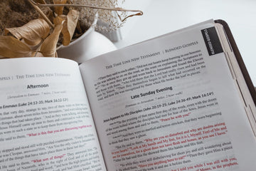The Time Line New Testament Bible (2023) (Leather Look with Gold Foil Imprint and Gold Foil Pages) (Words of Christ in Red) (Full Color Interior and Maps) (Imitation Leather – January 17, 2023) - Faith & Flame - Books and Gifts - Destiny Image - 9780768463996