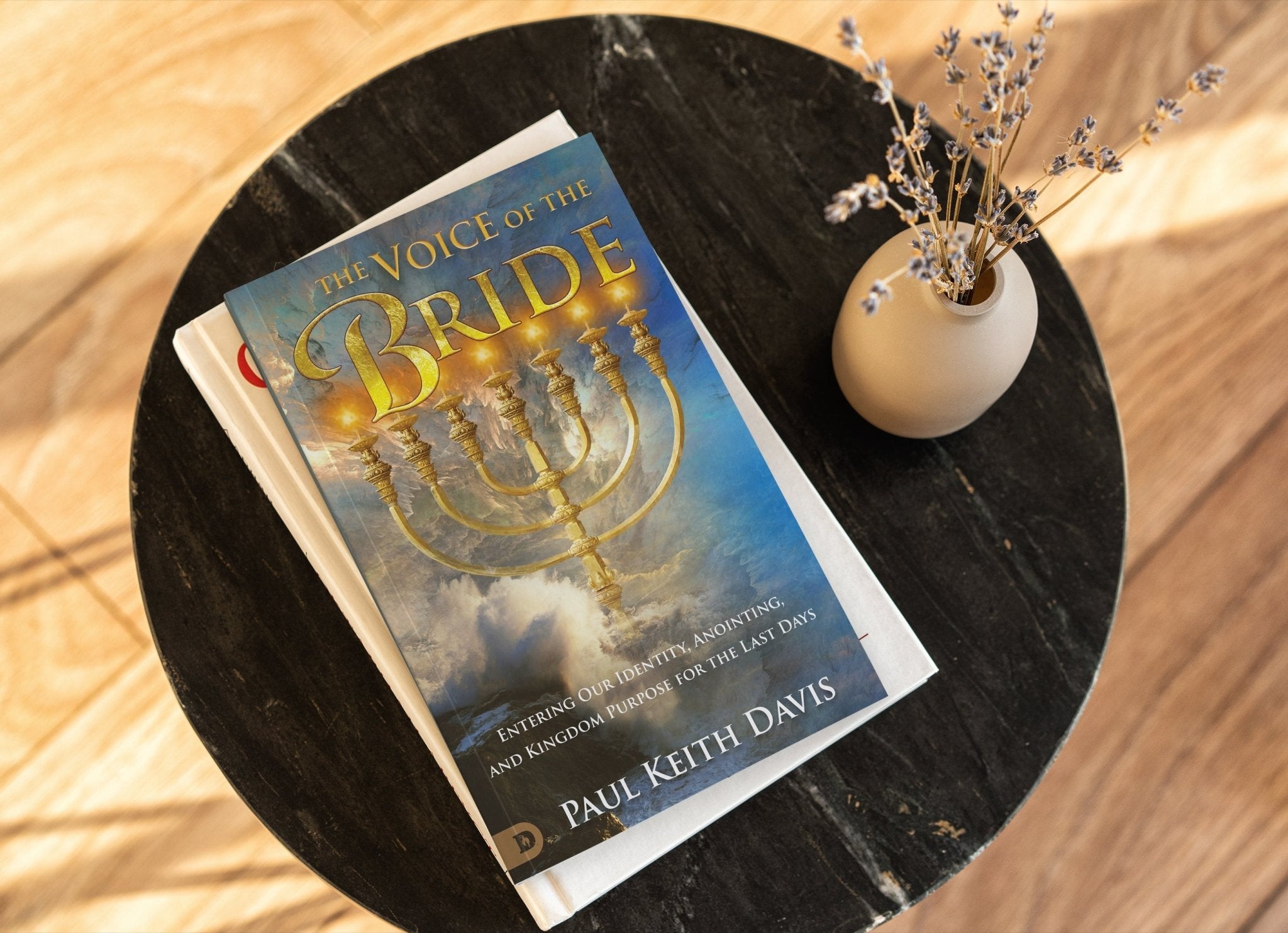 The Voice of the Bride: Entering Our Identity, Anointing, and Kingdom Purpose for the Last Days Paperback – February 15, 2022 by Paul Keith Davis (Author) - Faith & Flame - Books and Gifts - Destiny Image - 9780768460155