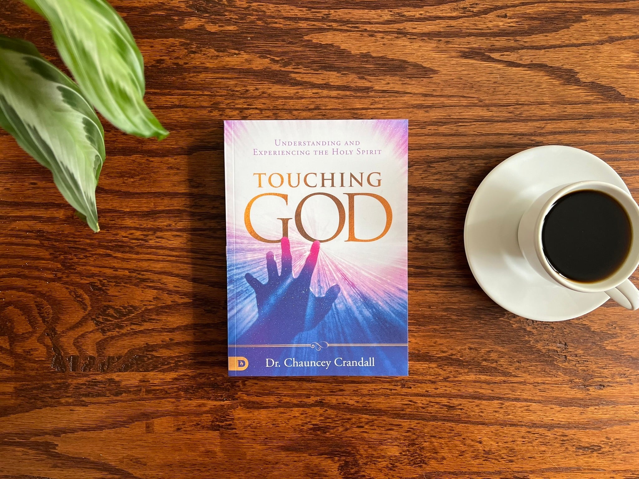 Touching God: Understanding and Experiencing the Holy Spirit – May 5, 2026 - Faith & Flame - Books and Gifts - Destiny Image - 9780768483482