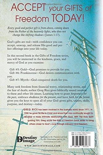 Understanding Provision, Communication, and Death - Faith & Flame - Books and Gifts - Destiny Image - 9780768427233