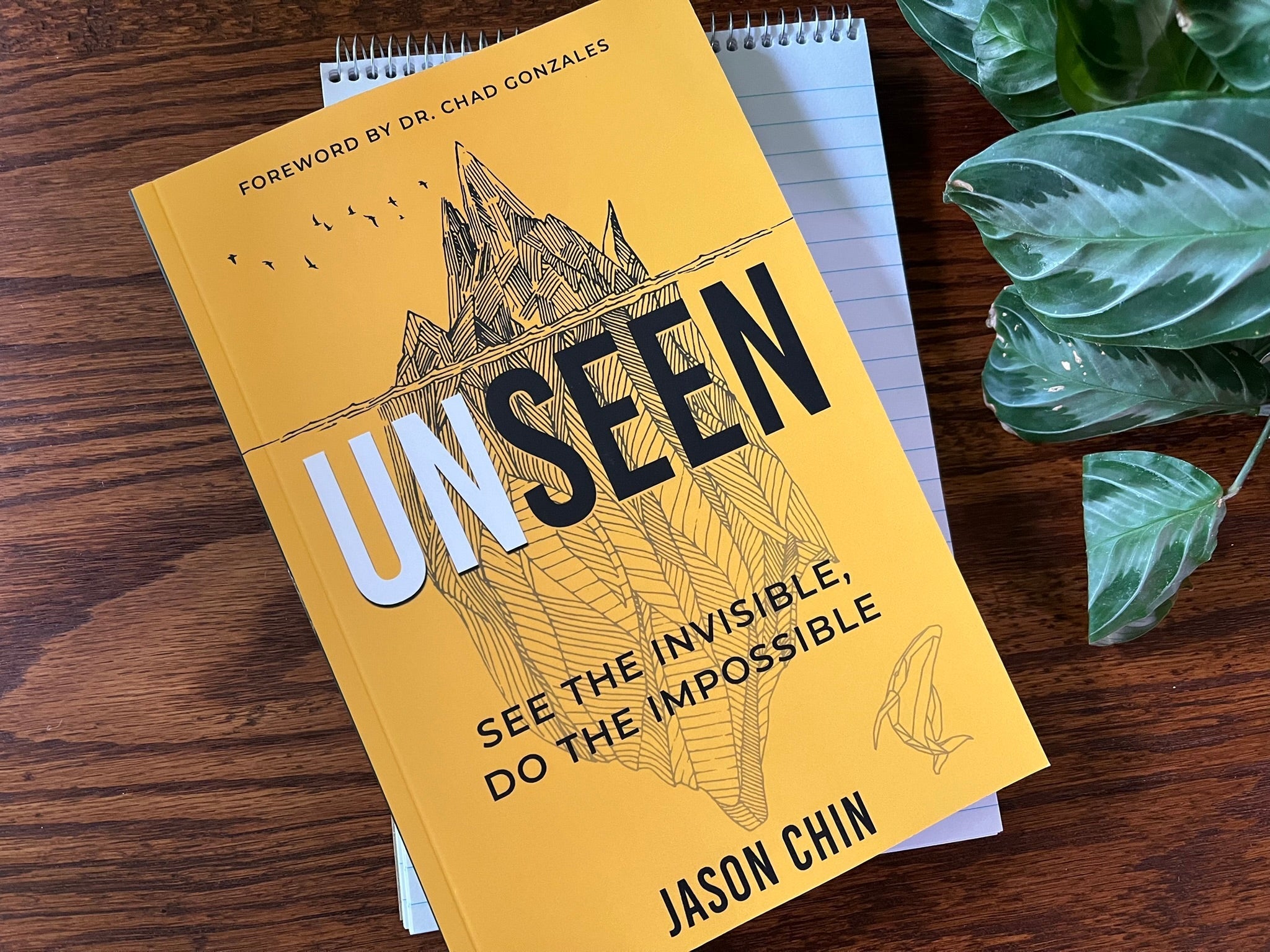 Unseen: Access the Supernatural Realm of Angels, Dreams and Visions and Experience Resurrection Power Paperback – September 2, 2025 - Faith & Flame - Books and Gifts - Destiny Image - 9798881505233