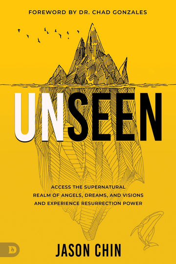Unseen: Access the Supernatural Realm of Angels, Dreams and Visions and Experience Resurrection Power Paperback – September 2, 2025 - Faith & Flame - Books and Gifts - Destiny Image - 9798881505233