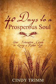 40 Days to a Prosperous Soul - Faith & Flame - Books and Gifts - Destiny Image - 9780768405224
