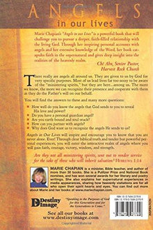 Angels in Our Lives - Faith & Flame - Books and Gifts - Destiny Image - 9780768423709