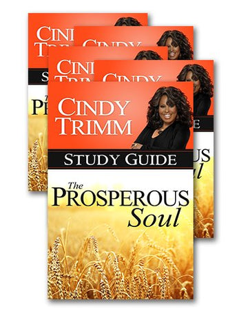 Bundle of 5 Prosperous Soul Study Guides