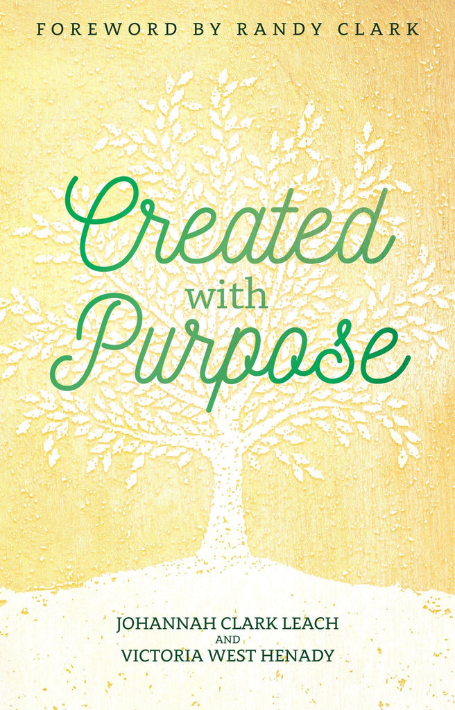 Created With Purpose - Faith & Flame - Books and Gifts - Destiny Image - 9780768408553
