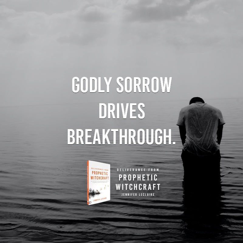 Deliverance from Prophetic Witchcraft: Put an End to the Lingering Toxic Effects of Satan's Counterfeit Messengers Paperback – September 5, 2023 - Faith & Flame - Books and Gifts - Destiny Image - 9780768472820