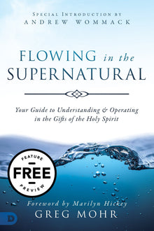 Flowing in the Supernatural Feature Message (PDF Download) - Faith & Flame - Books and Gifts - Destiny Image - DIFIDD