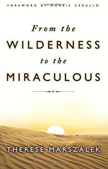 From the Wilderness to the Miraculous - Faith & Flame - Books and Gifts - Destiny Image - 9780768432572