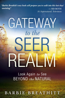 Gateway to the Seer Realm - Faith & Flame - Books and Gifts - Destiny Image - 9780768403053