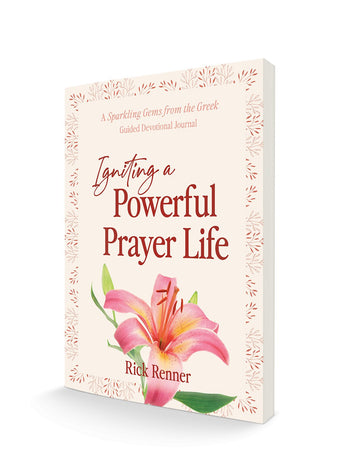 Igniting a Powerful Prayer Life: A Sparkling Gems From the Greek Guided Devotional Journal Paperback – October 3, 2023