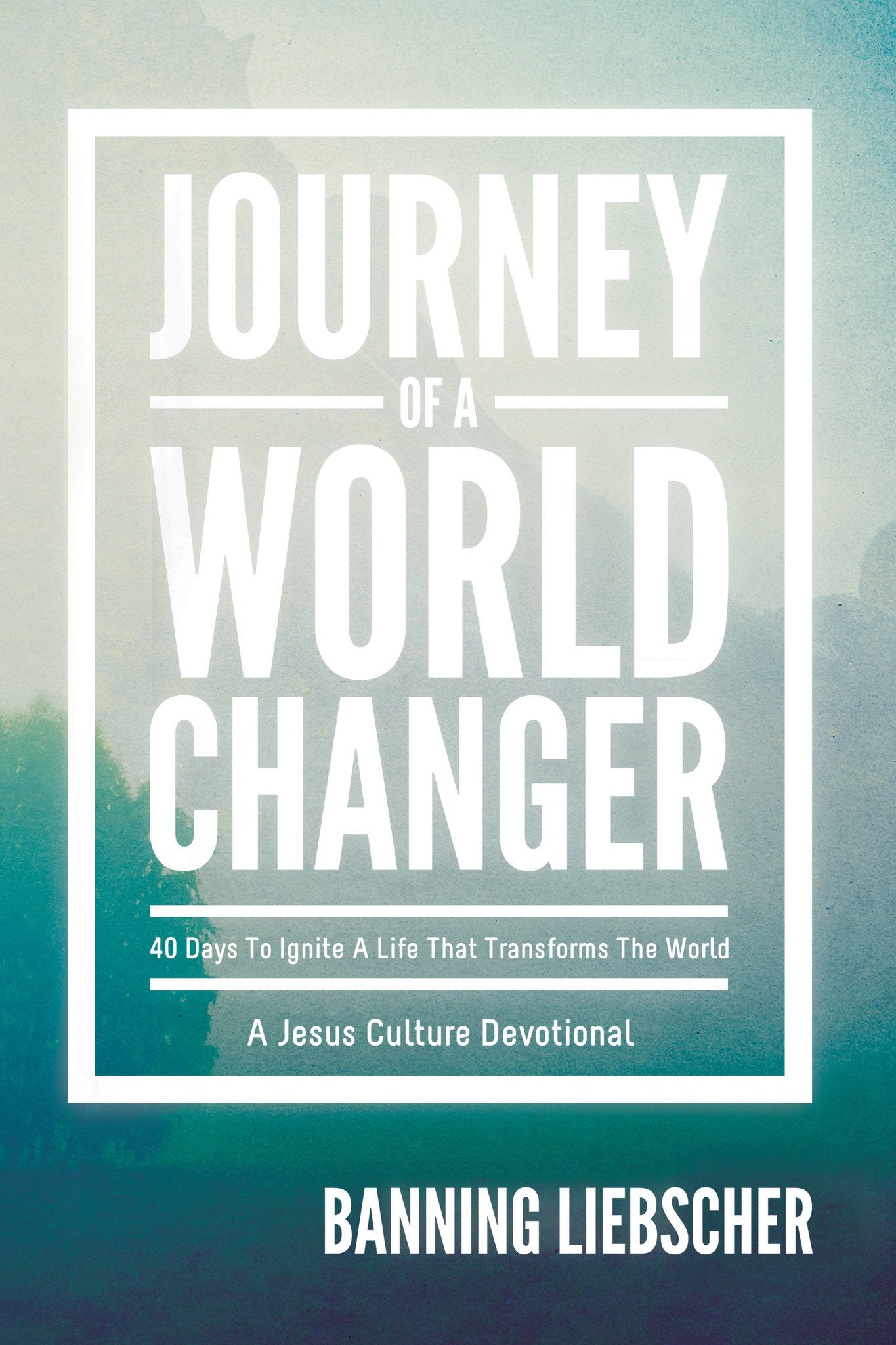 Journey of a World Changer - Faith & Flame - Books and Gifts - Destiny Image - 9780768402933