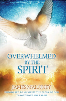 Overwhelmed by the Spirit - Faith & Flame - Books and Gifts - Destiny Image - 9780768403572