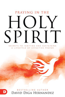 Praying in the Holy Spirit: Secrets to Igniting and Sustaining a Lifestyle of Effective Prayer - Faith & Flame - Books and Gifts - Destiny Image - 9780768452617