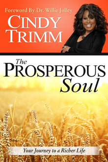 Prosperous Soul - Faith & Flame - Books and Gifts - Destiny Image - 9780768405187