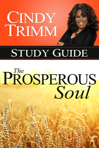 Prosperous Soul Study Guide - Faith & Flame - Books and Gifts - Destiny Image - 9780768405217