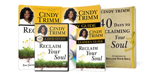Reclaim Your Soul Large Group Study Kit - Faith & Flame - Books and Gifts - Destiny Image - RYSLGS