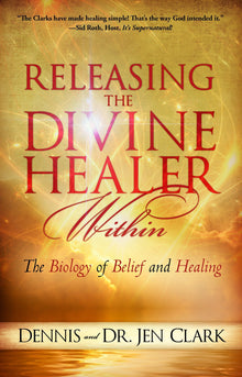 Releasing the Divine Healer Within - Faith & Flame - Books and Gifts - Destiny Image - 9780768407488