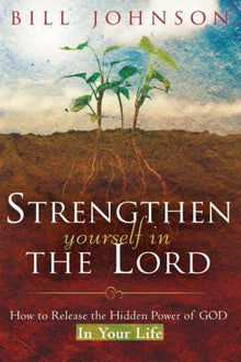 Strengthen Yourself in the Lord - Faith & Flame - Books and Gifts - Destiny Image - 9780768424270