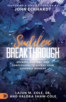 Sudden Breakthrough: Decrees, Prayers, and Confessions to Access Your Suddenly Moment - Faith & Flame - Books and Gifts - Destiny Image - 9780768443585