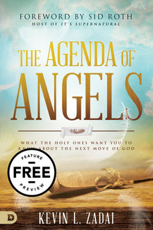 The Agenda of Angels Free Feature Message (PDF Download) - Faith & Flame - Books and Gifts - Destiny Image - DIFIDD
