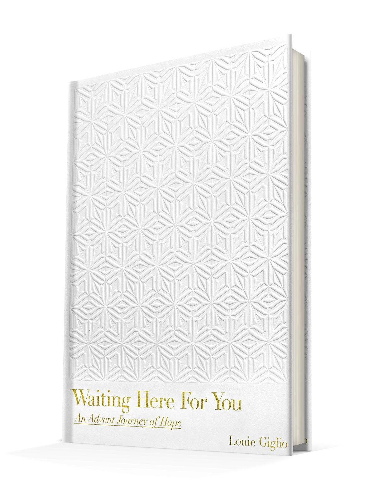 Waiting Here For You: An Advent Journey of Hope Hardcover – October 20, 2020 - Faith & Flame - Books and Gifts - Passion Publishing - 9781949255119